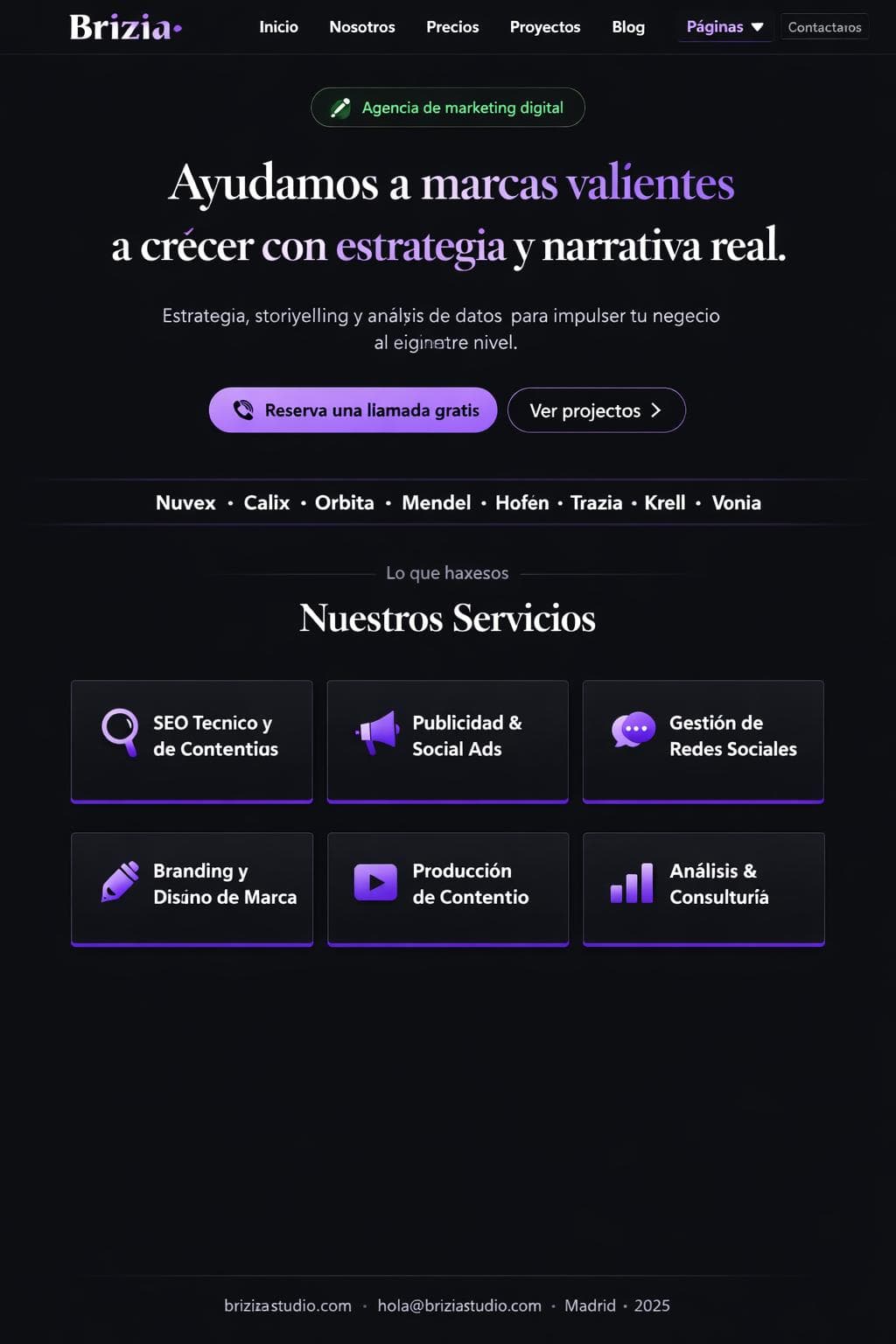 Brizia Studio — vista previa del theme